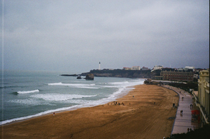 Traitement punaises de lit Biarritz